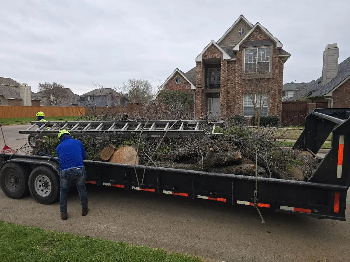 Expert Crown Reduction with proper safety equipment in Portland